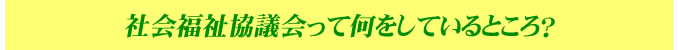 社会福祉協議会って何をしているところ